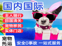 齐齐哈尔三家子机场物流国际宠物托运 【国